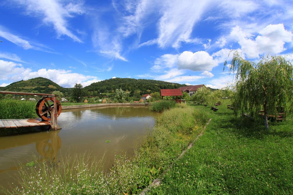 Pensiunea Lacramioara Săcel Exteriér fotografie